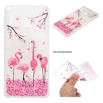 Cherry Flamingo Anti-fall Clear Varnish Soft TPU Back Cover for Samsung Galaxy M20