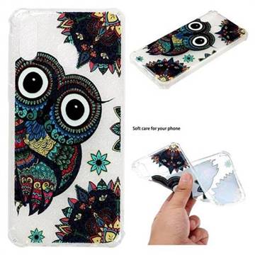 Owl Totem Anti-fall Clear Varnish Soft TPU Back Cover for Samsung Galaxy M20
