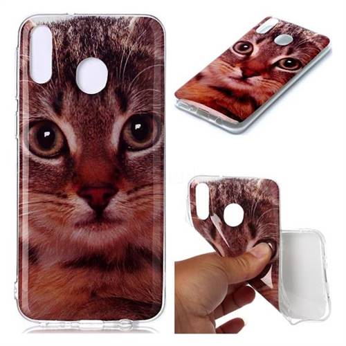 Garfield Cat Soft TPU Cell Phone Back Cover for Samsung Galaxy M20