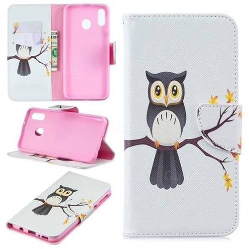 Owl on Tree Leather Wallet Case for Samsung Galaxy M20