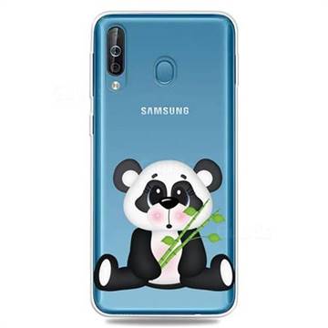 Bamboo Panda Clear Varnish Soft Phone Back Cover for Samsung Galaxy M30