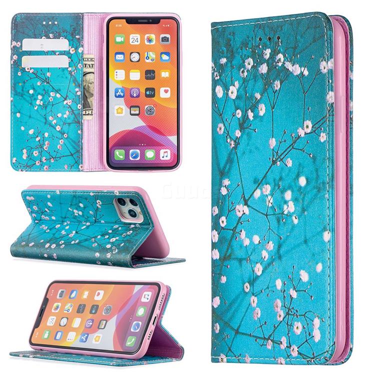 Plum Blossom Slim Magnetic Attraction Wallet Flip Cover for iPhone 11 Pro Max (6.5 inch)