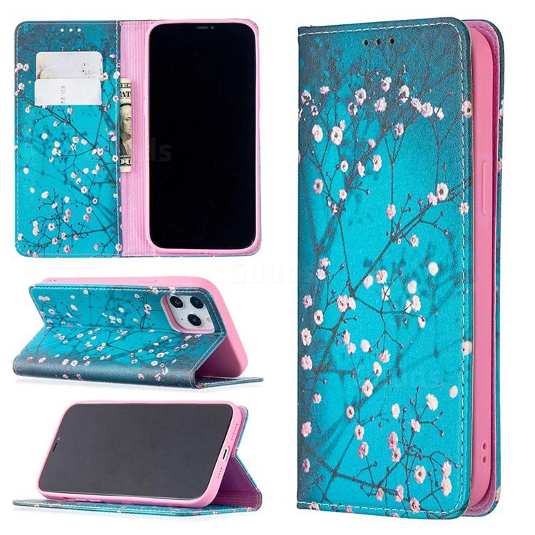 Plum Blossom Slim Magnetic Attraction Wallet Flip Cover for iPhone 12 Pro Max (6.7 inch)