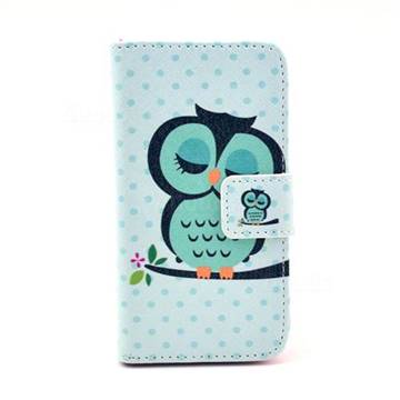 Sweet Owl Leather Wallet Case for iPhone 4s / iPhone 4