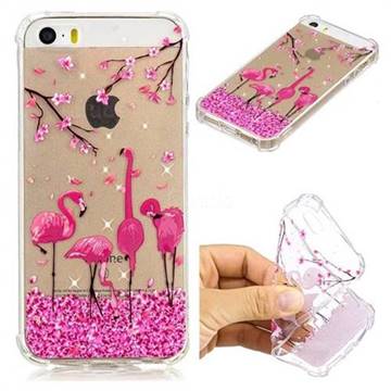 Cherry Flamingo Anti-fall Clear Varnish Soft TPU Back Cover for iPhone SE 5s 5