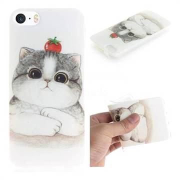 Cute Tomato Cat IMD Soft TPU Cell Phone Back Cover for iPhone SE 5s 5