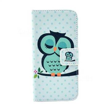 Sweet Owl Leather Wallet Case for iPhone SE 5s 5