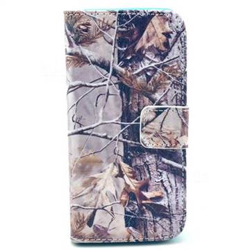 Autumn Tree Leather Flip Wallet Case Cover for iPhone SE 5s 5