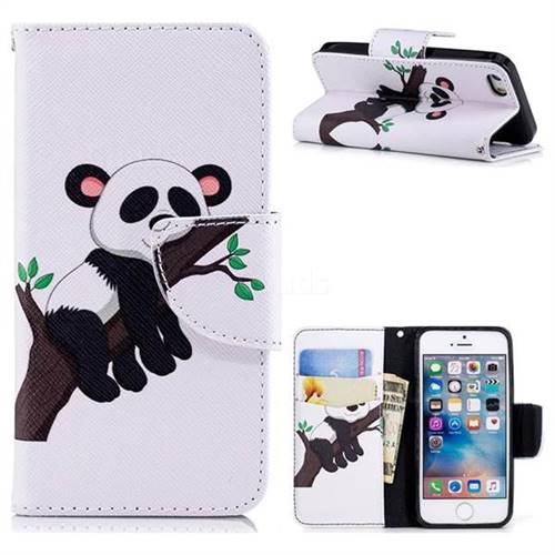 Tree Panda Leather Wallet Case for iPhone SE 5s 5