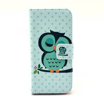 Sweet Owl Leather Wallet Case for iPhone 5c