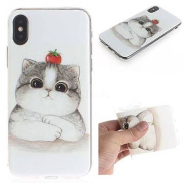 Cute Tomato Cat IMD Soft TPU Cell Phone Back Cover for iPhone XS / iPhone X(5.8 inch)