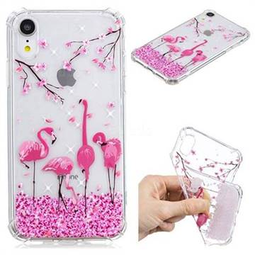 Cherry Flamingo Anti-fall Clear Varnish Soft TPU Back Cover for iPhone Xr (6.1 inch)