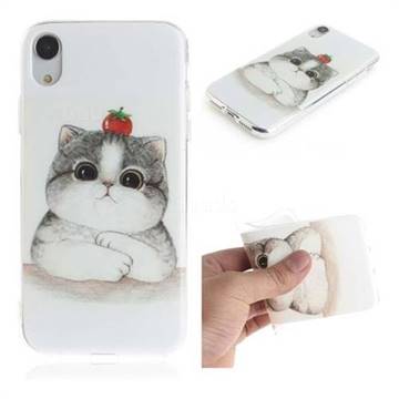 Cute Tomato Cat IMD Soft TPU Cell Phone Back Cover for iPhone Xr (6.1 inch)