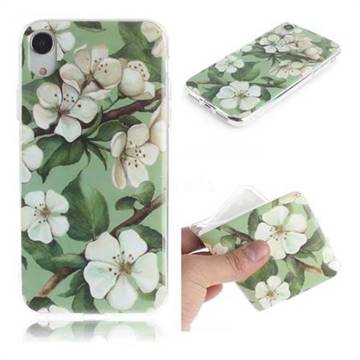 Watercolor Flower IMD Soft TPU Cell Phone Back Cover for iPhone Xr (6.1 inch)