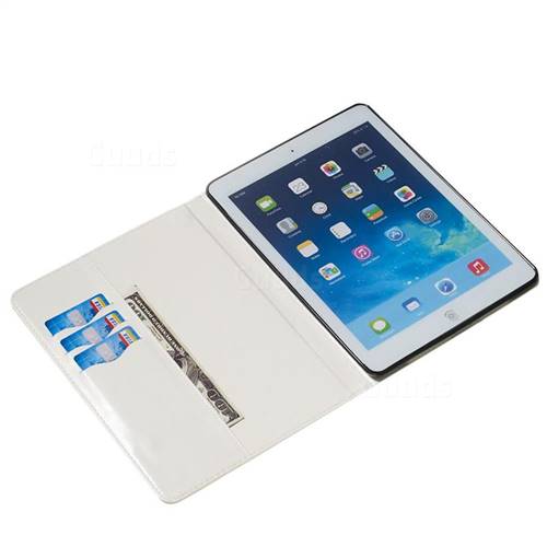 iPad - ikemasa img01.jpg