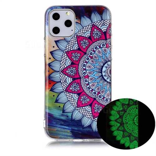 Colorful Sun Flower Noctilucent Soft TPU Back Cover for iPhone 11 Pro (5.8 inch)
