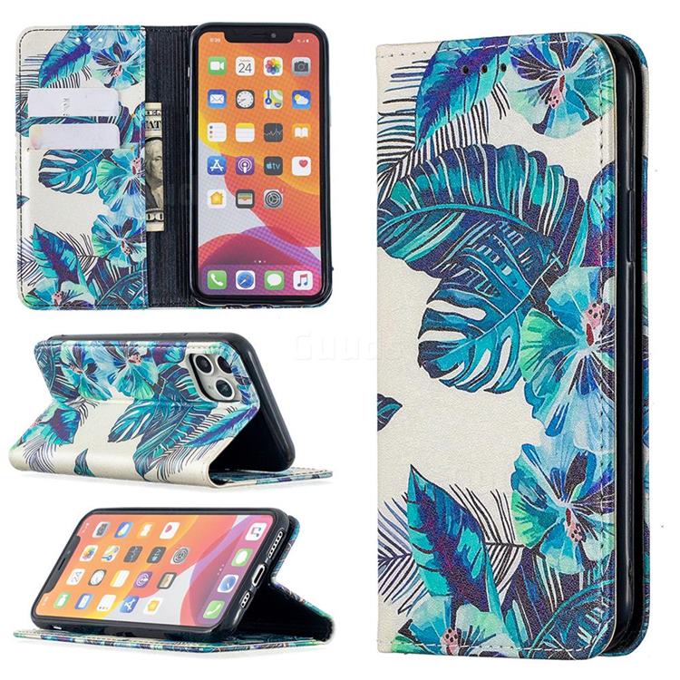 Blue Leaf Slim Magnetic Attraction Wallet Flip Cover for iPhone 11 Pro (5.8 inch)